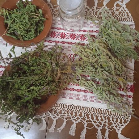 Studios Melusine Μεστά Εξωτερικό φωτογραφία